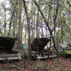 Illustration for article titled GHOST CARS ROTTING IN THE MISSISSIPPI SWAMP